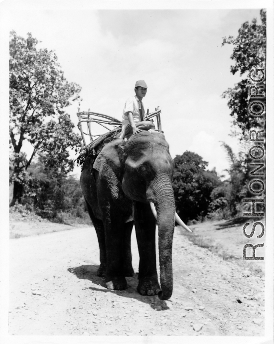 Local people in Burma near the 797th Engineer Forestry Company--man riding elephant, assisting in logging in some cases.  During WWII.