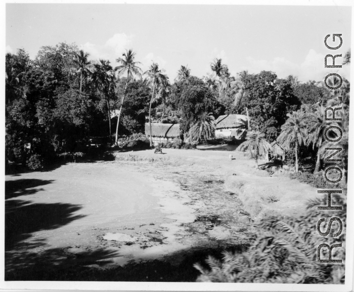 Tropical village with large pond.  Scenes in India witnessed by American GIs during WWII. For many Americans of that era, with their limited experience traveling, the everyday sights and sounds overseas were new, intriguing, and photo worthy.