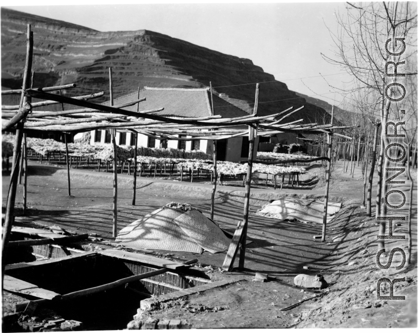 Wool drying at a farm in northern China, in a loess soil region. During WWII. Image provided by Dorothy Yuen Leuba.