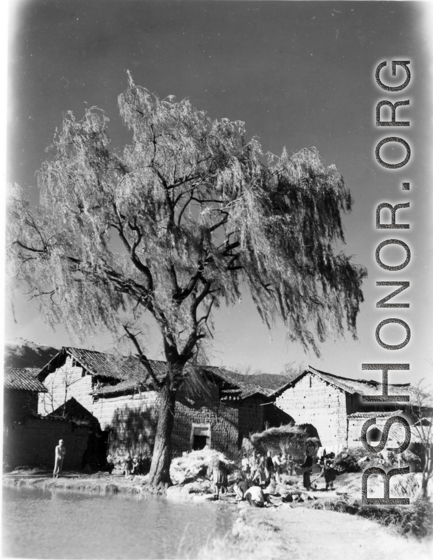 Local people in Yunnan province, China: Threshing rice in a small village. During WWII.