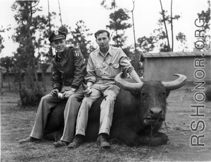 GI explorations of the hostel area at Yangkai air base during WWII: A flyer and Eugene Wozniak (right) sit on an ox in the hostel area, drinking beer.