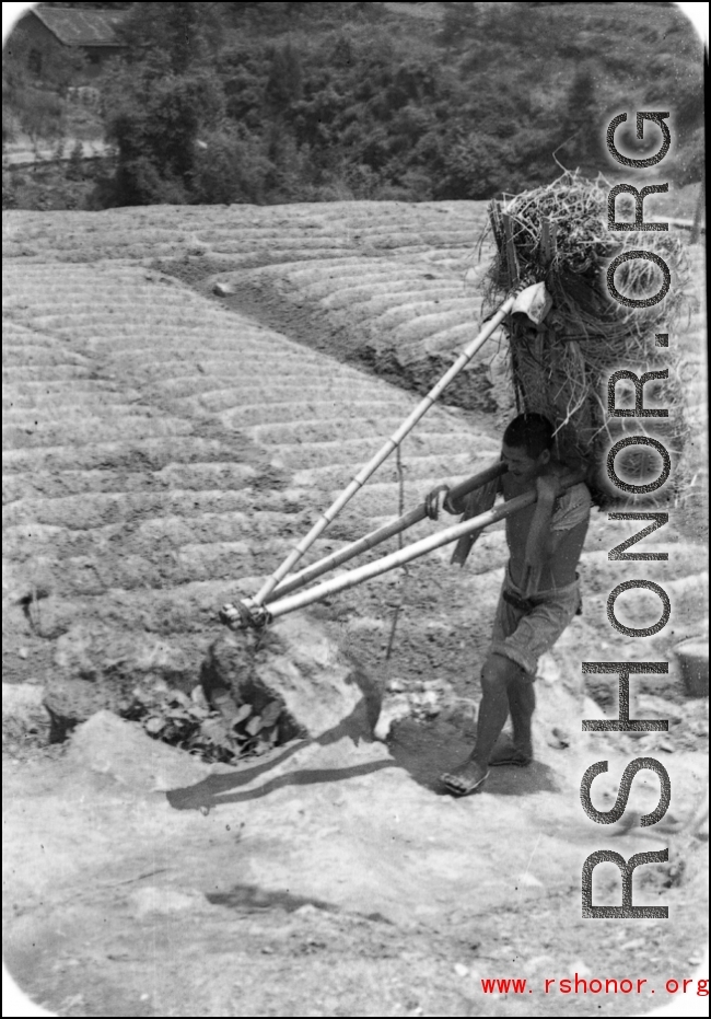 A farmer shoulders straw in China during WWII.