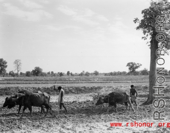 Local people plow farmland in India.