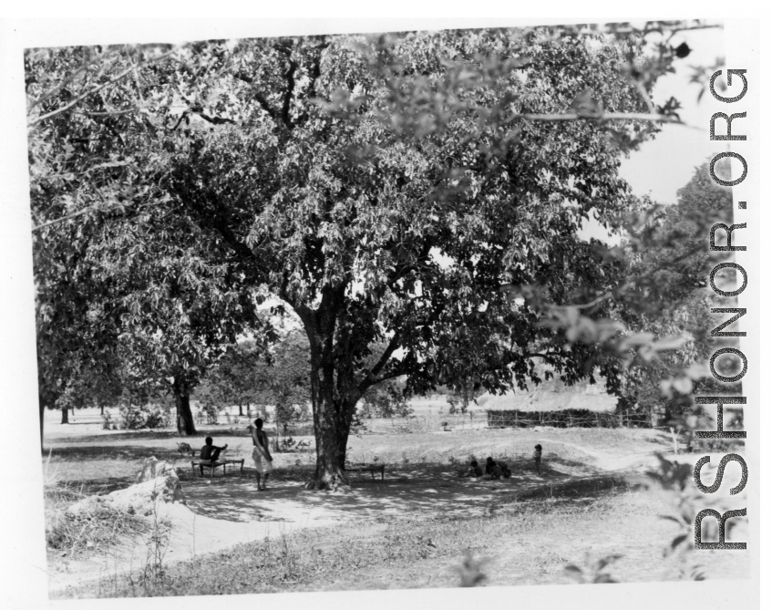 People take advantage of shade under large tree.  Scenes in India witnessed by American GIs during WWII. For many Americans of that era, with their limited experience traveling, the everyday sights and sounds overseas were new, intriguing, and photo worthy.