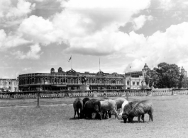 Building in India during WWII.