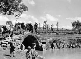 Local people in China: A donkey and mule train crosses a decaying arched stone bridge in Yunnan province, China, during WWII, while kids look at the cameraman.  From the collection of Eugene T. Wozniak.