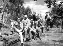 American and Chinese soldiers pose on the trunk of a large tree during a friendly day outing, mostly likely in Yunnan. During WWII.