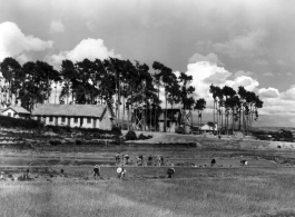 Chinese farmers work in fields outside an American air base in SW China during WWII.