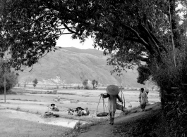 Women farming at Yangkai, and a woman walking on village path. During WWII.