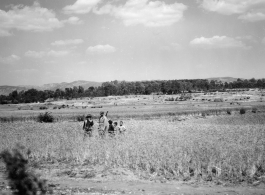 An American GI and local kids in a grain field in Yunnan province, China. During WWII.