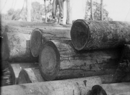 797th Engineer Forestry Company in Burma, loading logs for milling for bridge building along the Burma Road. GI stands on log pile.  During WWII.