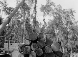 797th Engineer Forestry Company in Burma, loading logs for milling for bridge building along the Burma Road.  During WWII.