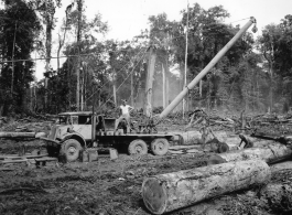 797th Engineer Forestry Company in Burma, loading logs for milling for bridge building along the Burma Road.  During WWII.