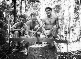 Engineers of the 797th Engineer Forestry Company pose with sawed stump in Burma.  During WWII.