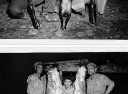 Engineers of the 797th Engineer Forestry Company pose with their catch after a round of huntin' and fishin' in Burma.  During WWII.