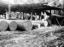 Wranging mud-covered logs towards saw with cant pikes at a lumber mill of the 797th Engineer Forestry Company in Burma.  During WWII.