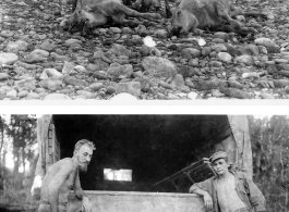 Engineers of the 797th Engineer Forestry Company pose with their catch after a round of huntin' and fishin' in Burma.  During WWII.