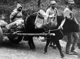 Refugees and Nationalist soldiers flee Guilin and arrive near Liuzhou, in the face of the Japanese Ichigo campaign in the summer/fall of 1944.