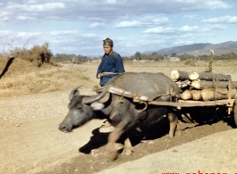 A farmer with his ox drawn cart, possibly at Yangkai base, Yunnan province, China, during WWII.