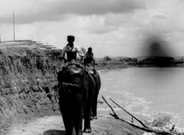 Working elephants in India during WWII.    From the collection of David Firman, 61st Air Service Group.