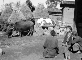 Villages take a break in China, against a backdrop of rice straw mounds.