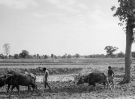 Local people plow farmland in India.