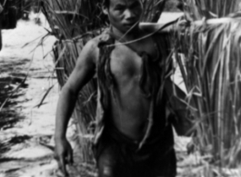 A worker has chopped elephant grand and bamboo, then carries the huge load through a stream to build bashas (huts) for allies, Kachin Rangers.  Photo from Jim Fletcher.