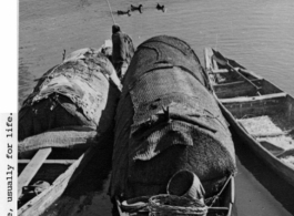 Boats in a Kunming canal, where women appear to be fishing. These boats are also their homes. During WWII.