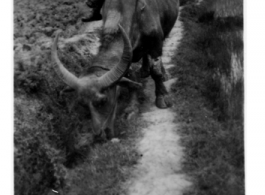 Rural scenes near Kunming.