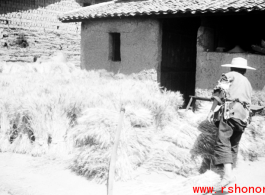 A farmer tends bundles of rice straw in SW China during WWII.