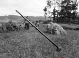 "Rice paddy at the foot of the hill from our barracks area, Yangkai, China 1944."