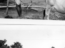 People linger on at market (or came early; top), and people laboriously pull water from a well (bottom).  Scenes in India witnessed by American GIs during WWII. For many Americans of that era, with their limited experience traveling, the everyday sights and sounds overseas were new, intriguing, and photo worthy.