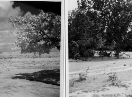 Rural countryside.  Scenes in India witnessed by American GIs during WWII. For many Americans of that era, with their limited experience traveling, the everyday sights and sounds overseas were new, intriguing, and photo worthy.