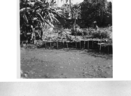 Drying racks for produce (top), and men posing before piled brush (bottom).  Scenes in India witnessed by American GIs during WWII. For many Americans of that era, with their limited experience traveling, the everyday sights and sounds overseas were new, intriguing, and photo worthy.