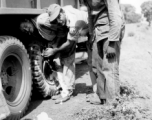 American servicemen--including an African-American serviceman--work on a truck along some road somewhere in the CBI during WWII.  From the collection of Wozniak, combat photographer for the 491st Bomb Squadron, in the CBI.