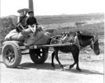 A horse-drawn cart with truck wheels somewhere in China during WWII.