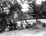 Readying rice sprouts for transplantation in a village in Yunnan province, China. Note the large bell on a stand. During WWII.