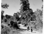 Local people walking in Yunnan province, China.  From the collection of Eugene T. Wozniak.