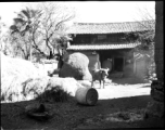 A village home and water buffalo in Yunnan, China, during WWII.