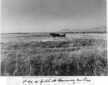 P-40 at Kunming air base, during WWII.