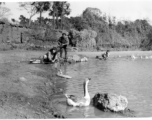 Villagers do the chores on shore of village pond. Probably near Yangkai, 1945.  From the collection of Frank Bates.
