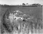 GIs look over devastating crash site of an American aircraft--the bent .50 cal machine gun in one image indicates it is American, and the gun mounting is like that of the nose gun of some B-25 Mitchells.  In this image set, the intensity by which people are searching the crash site, and the solemn nature of it all, makes one wonder if they are not looking for human remains.