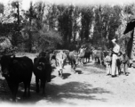 GI carrying a camera entertains interest boys at Yangkai village. During WWII.