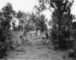 GIs adventuring among pines at Yangkai air base during WWII.