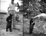 GIs with pet bear in the CBI during WWII. Right image is Eugene Wozniak.