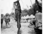 Engineers of the 797th Engineer Forestry Company pose with their catch after a round of fishin' in Burma.  During WWII.