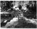 Outdoor amphitheater for 797th Engineer Forestry Company, in Burma, built into circular hillside, with logs for seats.  During WWII.