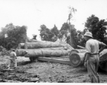 Wranging large logs of truck and towards saw with chains at a lumber mill of the 797th Engineer Forestry Company in Burma.  During WWII.