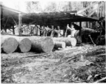 Wranging mud-covered logs towards saw with cant pikes at a lumber mill of the 797th Engineer Forestry Company in Burma.  During WWII.