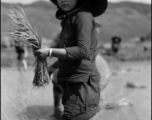 A Chinese woman planting rice sprouts in China during WWII.  From the collection of Wozniak, combat photographer for the 491st Bomb Squadron, in the CBI.